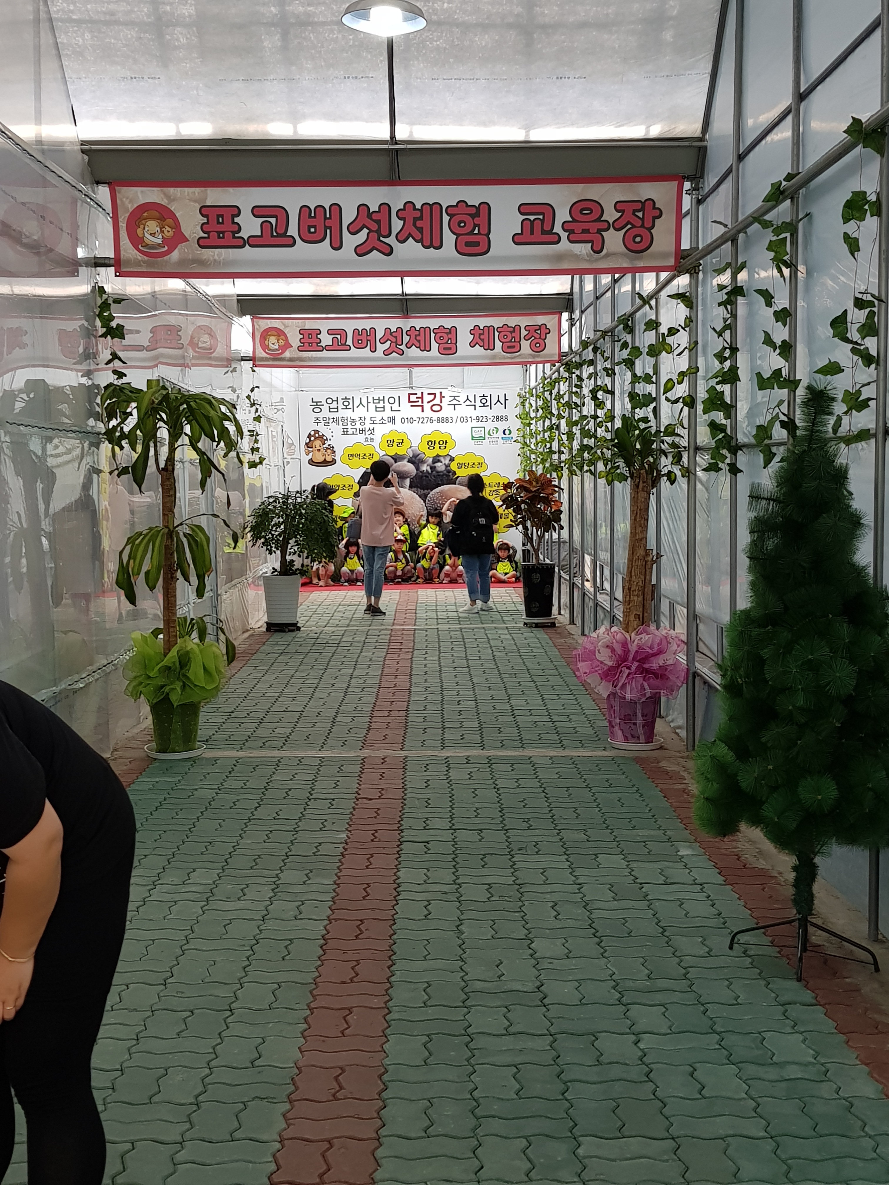 체험 프로그램